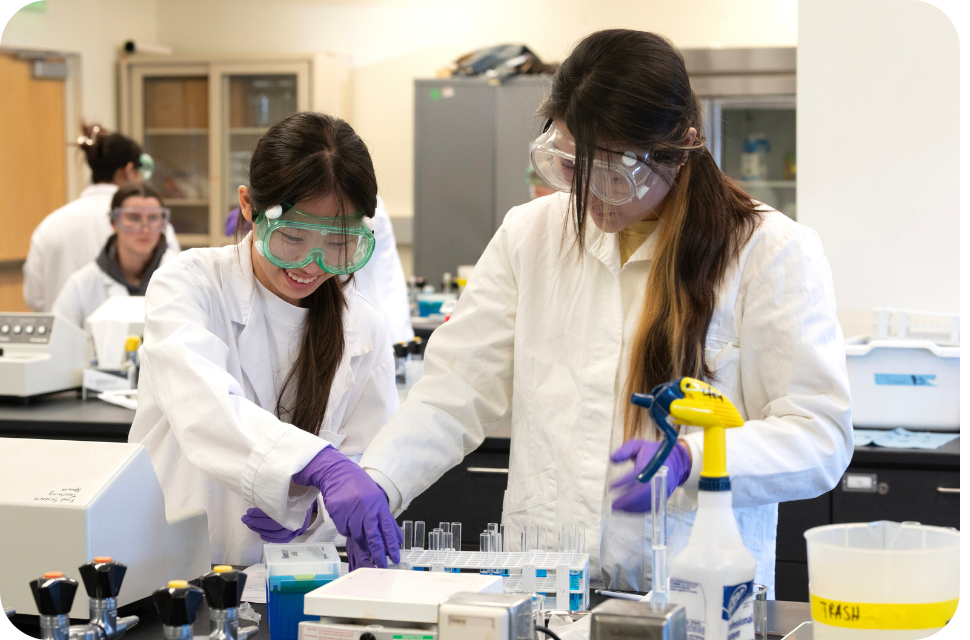 Two researchers in white coats, goggles and purple gloves working at lab bench