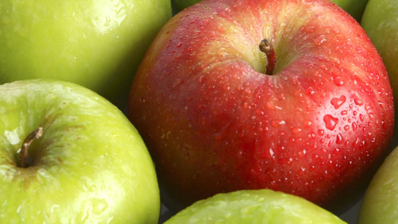 uc-davis-nutrition-department-nutrition-perspectives