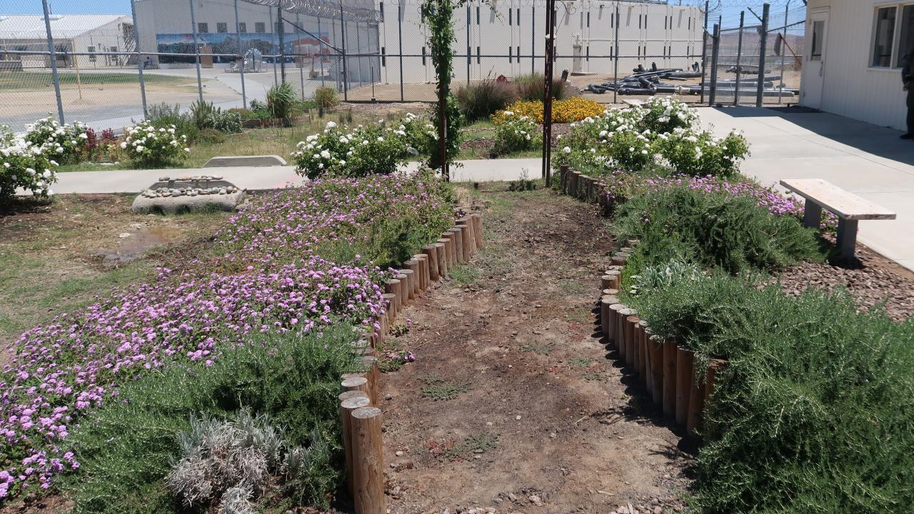 an Insight Garden Program (IGP) garden