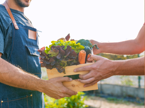 farmer handing off vegetables food