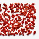 An assortment of goji berries