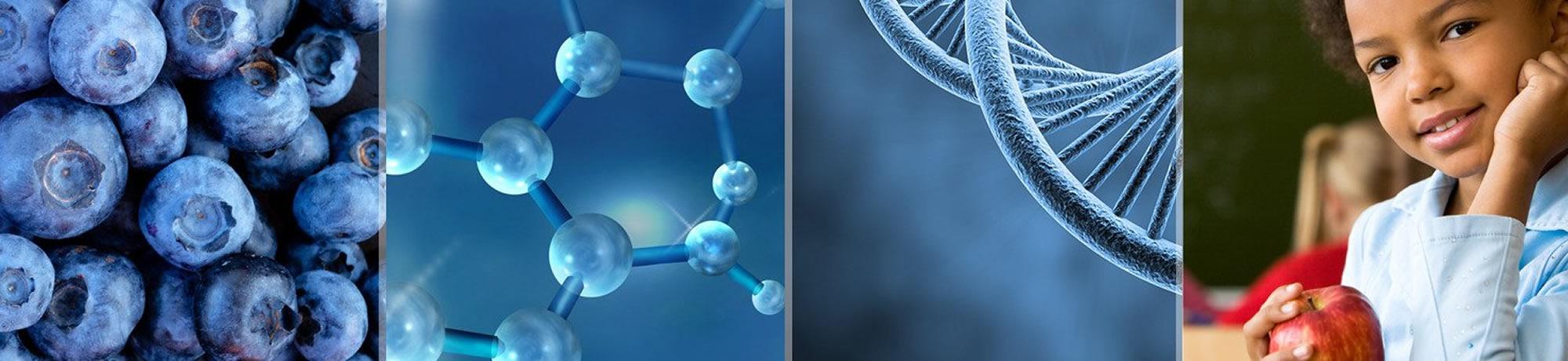 blueberries, cell structure, dna, child eating apple